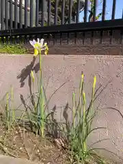 住吉神社の周辺