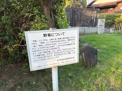西蓮寺(千葉県)