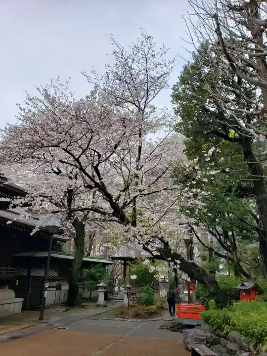 熊野神社(東京都)