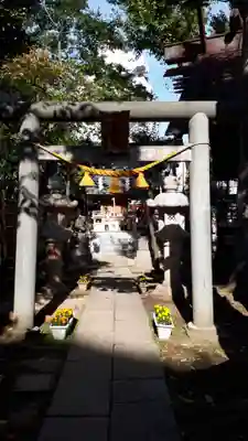 高円寺氷川神社の鳥居