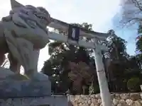 沙沙貴神社の鳥居