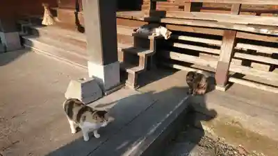 西宮恵比寿神社(静岡県)