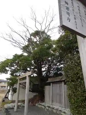 加努弥神社(皇大神宮末社)のその他建物