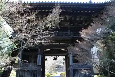 松尾寺の山門・神門