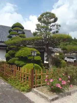 盛巌寺(岐阜県)