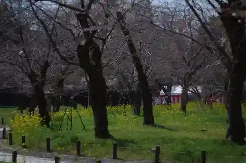 平野神社(京都府)