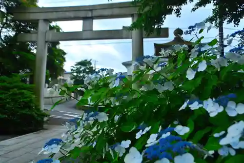 龍口明神社(神奈川県)