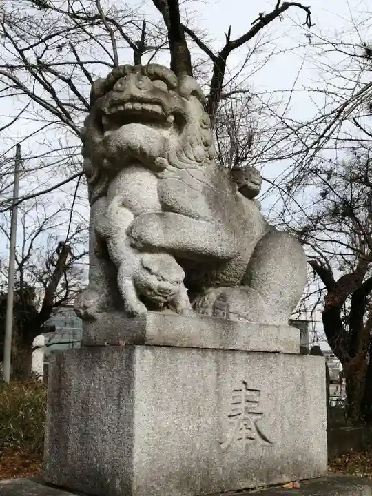 千代ケ岡八幡宮の狛犬