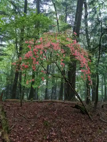 玉置神社(奈良県)