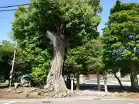 太田素盞神社のその他建物