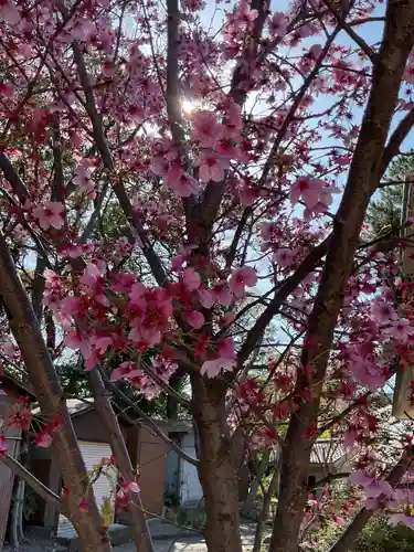 富部神社(愛知県)