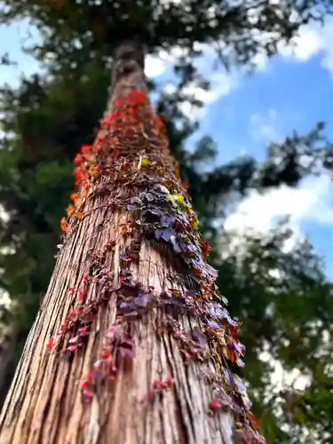 古町豊受大神宮(長野県)