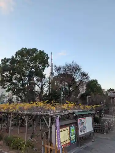 亀戸天神社(東京都)