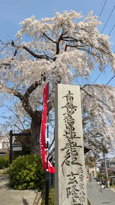 玄隆寺(京都府)