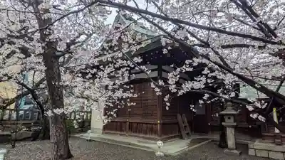 天孫神社(滋賀県)