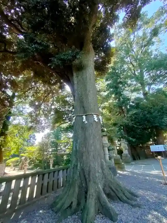 岩槻久伊豆神社の{uncategorized: "未分類", other: "その他", undefined: "問題あり", building: "その他建物", grave: "お墓", sacred_gate: "鳥居", guardian: "狛犬", statue: "像", buddha: "仏像", history: "歴史", nature: "自然", garden: "庭園", animal: "動物", pagoda: "塔", temizu: "手水舎", mountain_gate: "山門・神門", sanctuary: "本殿・本堂", subordinate: "末社・摂社", art: "芸術", scenery: "景色", jizo: "地蔵", ema: "絵馬", goshuin: "御朱印", omikuji: "おみくじ", items: "授与品その他", amulet: "お守り", goshuincho: "御朱印帳", eats: "食事", festival: "お祭り", votive_dance: "神楽", shichigosan: "七五三参", wedding: "結婚式", experience: "体験その他", initially: "初詣", around: "周辺", anti_infection: "感染症対策"}
