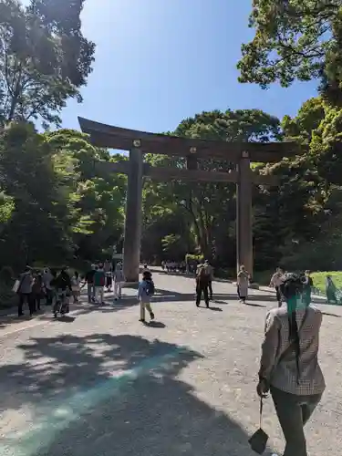 明治神宮(東京都)