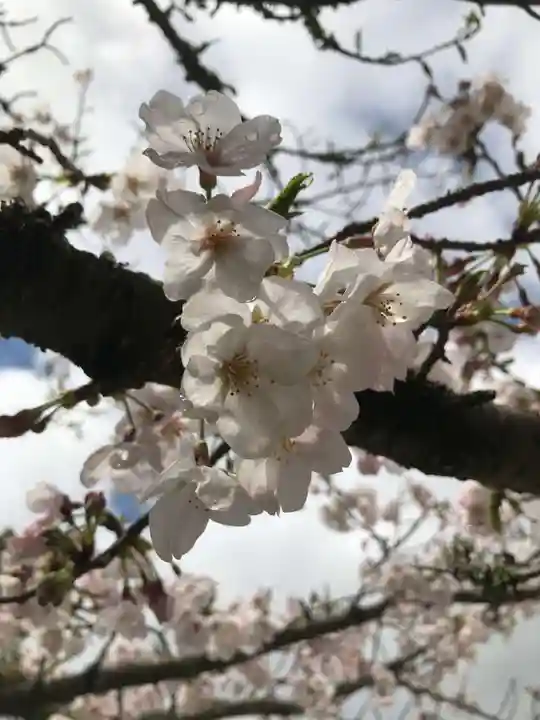 金剛宝寺(紀三井寺)の自然