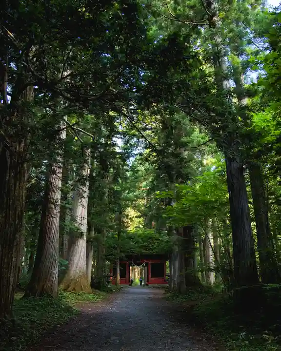 戸隠神社奥社(長野県)
