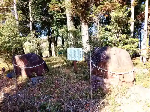 中蒔田椋神社(埼玉県)