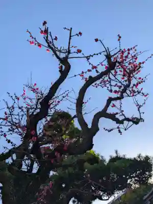 鳩森八幡神社(東京都)