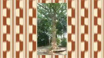 星川杉山神社(神奈川県)