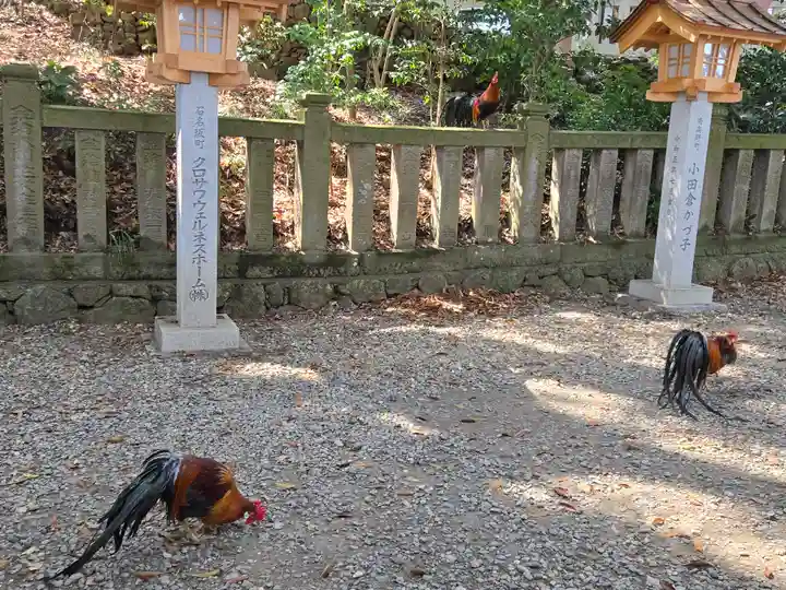 大甕神社(茨城県)