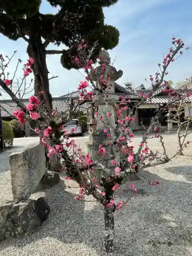 菅生神社の自然