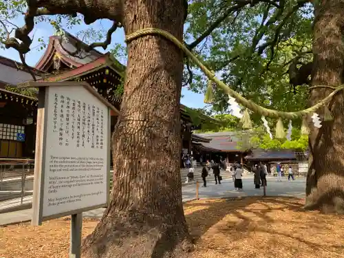 明治神宮(東京都)