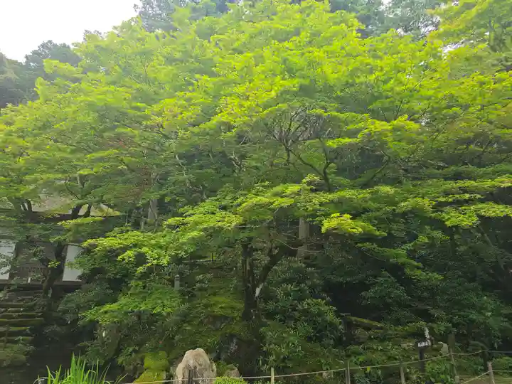 明寿院(滋賀県)