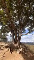 金刀比羅神社 若一神社(岡山県)