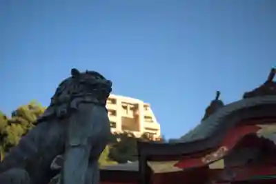 金神社の狛犬