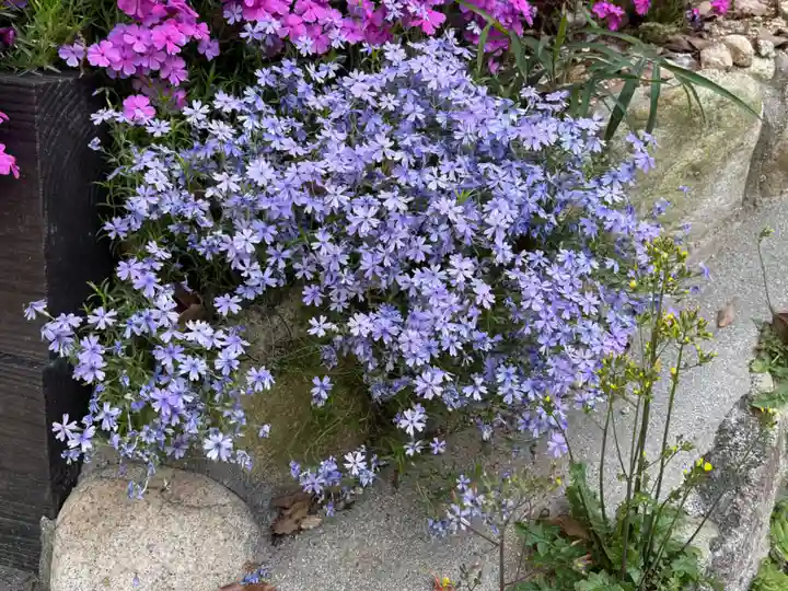 平林寺(兵庫県)