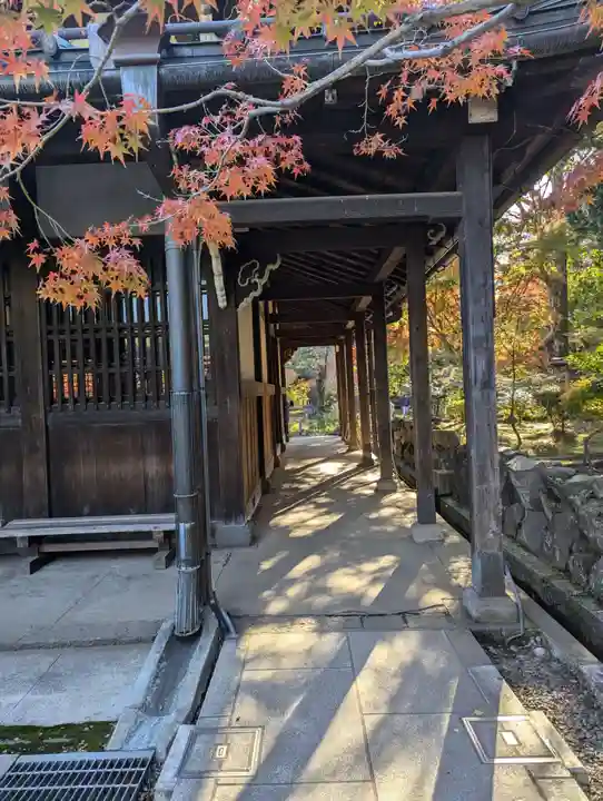 豪徳寺(東京都)