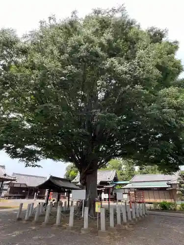 小泉神社(群馬県)