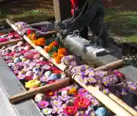 今市報徳二宮神社の手水舎