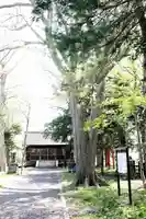 志文神社(北海道)