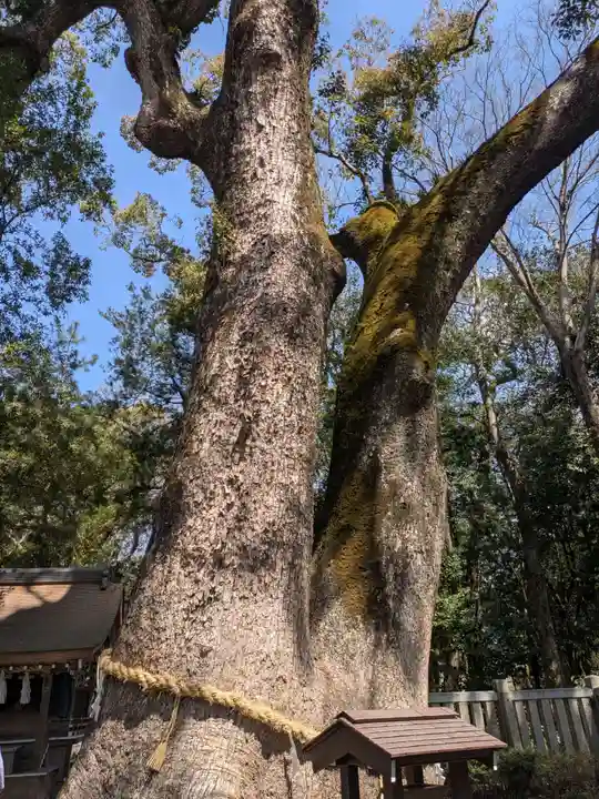伊弉諾神宮(兵庫県)