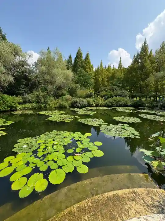 新村不動堂(高知県)