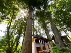 山家神社のお祭り