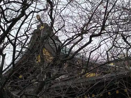 牛天神北野神社の本殿・本堂