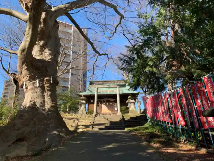愛宕神社の本殿・本堂