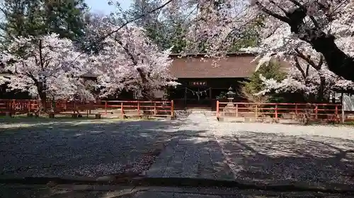 大井俣窪八幡神社の本殿