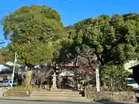 鹿児島神社(鹿児島県)