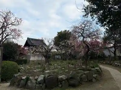 石光寺の{uncategorized: "未分類", other: "その他", undefined: "問題あり", building: "その他建物", grave: "お墓", sacred_gate: "鳥居", guardian: "狛犬", statue: "像", buddha: "仏像", history: "歴史", nature: "自然", garden: "庭園", animal: "動物", pagoda: "塔", temizu: "手水舎", mountain_gate: "山門・神門", sanctuary: "本殿・本堂", subordinate: "末社・摂社", art: "芸術", scenery: "景色", jizo: "地蔵", ema: "絵馬", goshuin: "御朱印", omikuji: "おみくじ", items: "授与品その他", amulet: "お守り", goshuincho: "御朱印帳", eats: "食事", festival: "お祭り", votive_dance: "神楽", shichigosan: "七五三参", wedding: "結婚式", experience: "体験その他", initially: "初詣", around: "周辺", anti_infection: "感染症対策"}