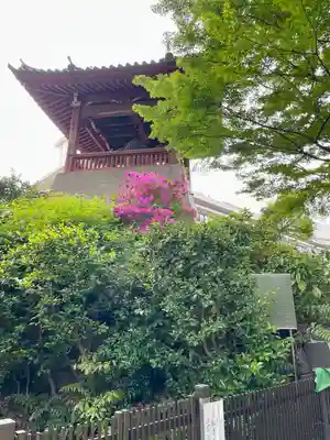 上野大佛(東京都)