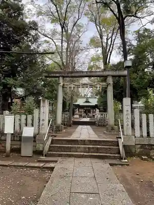 八雲氷川神社の鳥居