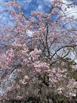 御霊神社(奈良県)