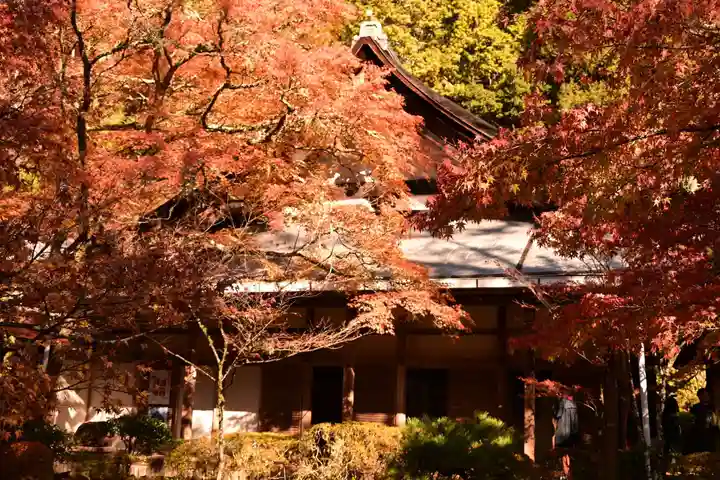 西明寺(京都府)