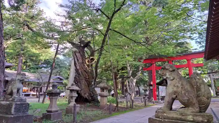 蠶養國神社(福島県)